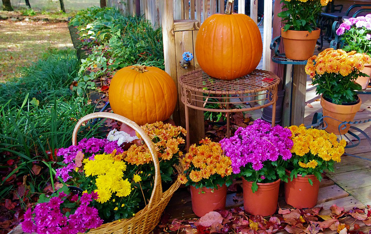 Хеллоуїн 2020: коли будемо святкувати, головні традиції та заборони